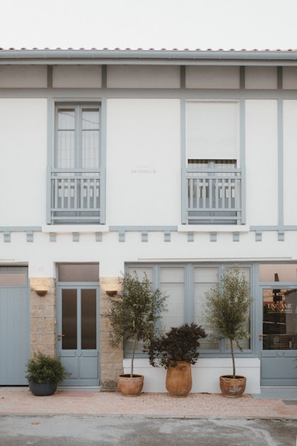Exploring Boutique Accommodation in Christchurch